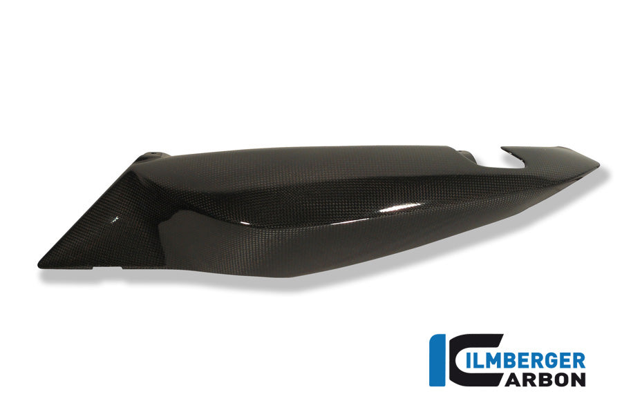 Ilmberger Carbon Underseat Side Panel, Left Side Carbon for the BMW F 800 R '09-15, F 800 S/ST '06-24, F 800 GT '12-24