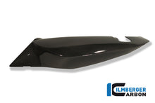 Ilmberger Carbon Underseat Side Panel, Left Side Carbon for the BMW F 800 R '09-15, F 800 S/ST '06-24, F 800 GT '12-24