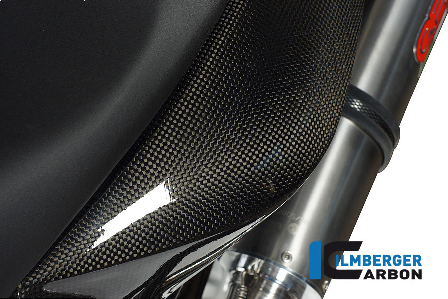 Ilmberger Carbon Underseat Side Panel, Left Side Carbon for the BMW F 800 R '09-15, F 800 S/ST '06-24, F 800 GT '12-24