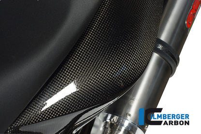 Ilmberger Carbon Underseat Side Panel, Left Side Carbon for the BMW F 800 R '09-15, F 800 S/ST '06-24, F 800 GT '12-24