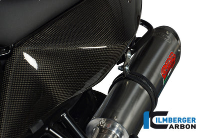 Ilmberger Carbon Underseat Side Panel, Left Side Carbon for the BMW F 800 R '09-15, F 800 S/ST '06-24, F 800 GT '12-24