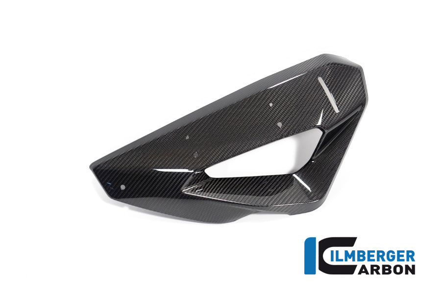 Ilmberger Carbon Cover on the Watercooler with Winglet Position, Left for the BMW M 1000 XR 2024