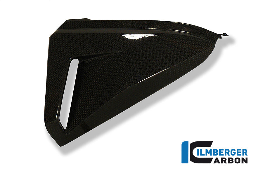 Ilmberger Carbon Cover Under the Seat Left, for the Honda CB 1000 R '08