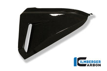 Ilmberger Carbon Cover Under the Seat Left, for the Honda CB 1000 R '08