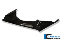 Ilmberger Carbon Tank Side Panel, Left Carbon for the BMW S1000RR '09-14 / HP4 2012