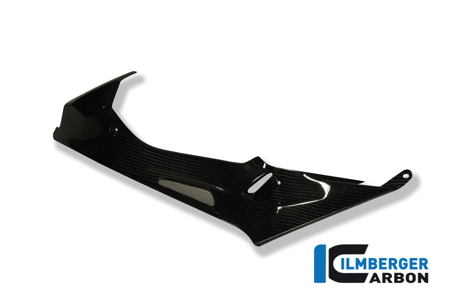 Ilmberger Carbon Tank Side Panel, Left Carbon for the BMW S1000RR '09-14 / HP4 2012