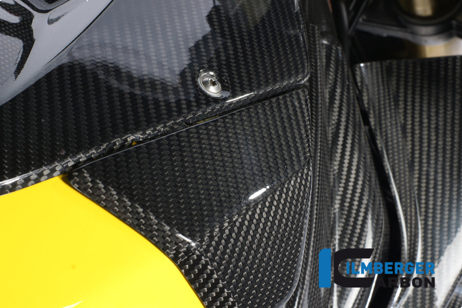 Ilmberger Carbon Tank Side Panel, Left Carbon for the BMW S 1000 RR Stocksport / Racing 2009-2014