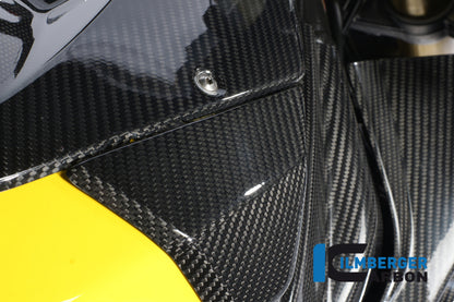 Ilmberger Carbon Tank Side Panel, Left Carbon for the BMW S 1000 RR Stocksport / Racing 2009-2014