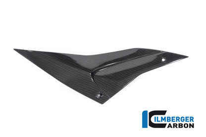 Ilmberger Carbon Sidepanel, Right Side for the Aprilia Tuono / RSV4 2021