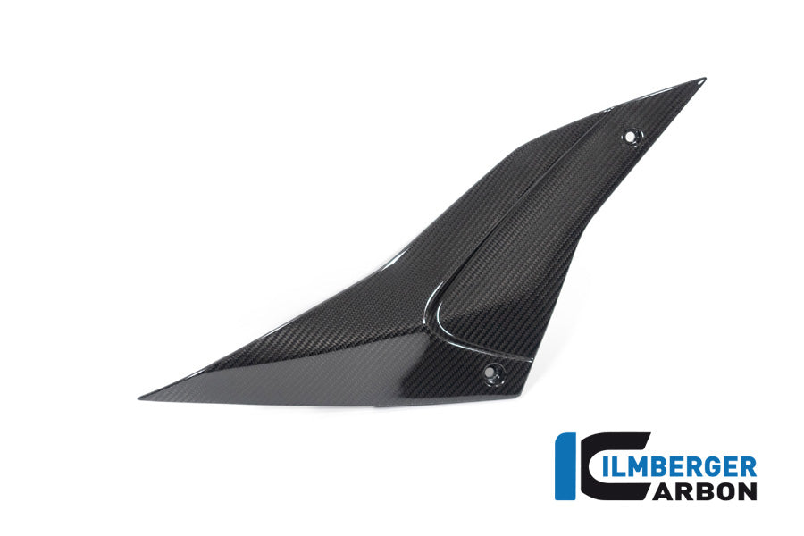 Ilmberger Carbon Sidepanel, Right Side for the Aprilia Tuono / RSV4 2021