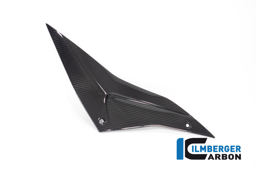 Ilmberger Carbon Sidepanel, Right Side for the Aprilia Tuono / RSV4 2021