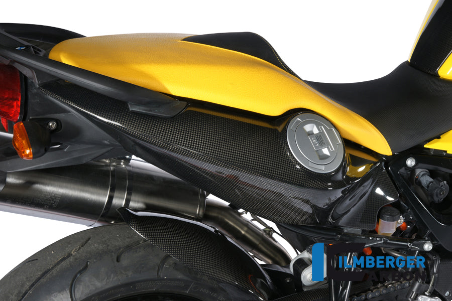 Ilmberger Carbon Underseat Side Panel, Right Side Carbon for the BMW F 800 R '09-15, F 800 S/ST '06-24, F 800 GT '12-24