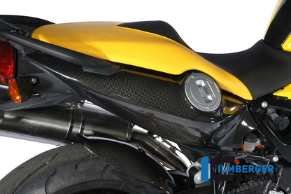 Ilmberger Carbon Underseat Side Panel, Right Side Carbon for the BMW F 800 R '09-15, F 800 S/ST '06-24, F 800 GT '12-24
