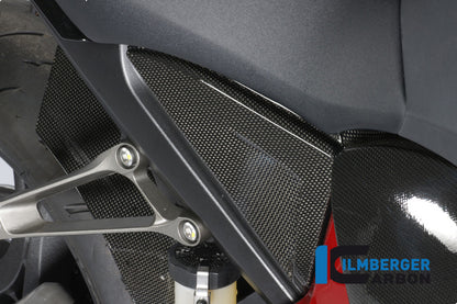 Ilmberger Carbon Cover Under the Seat Left, for the Honda CB 1000 R '08
