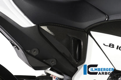 Ilmberger Carbon Cover Under the Seat Left, for the Honda CB 1000 R '08