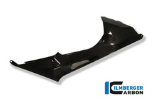 Ilmberger Carbon Tank Side Panel, Right Carbon for the BMW S 1000 RR Racing 2009-2014