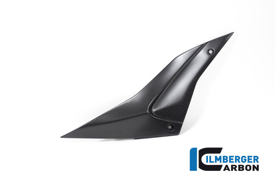 Ilmberger Carbon Sidepanel, Right Side for the Aprilia Tuono / RSV4 2021