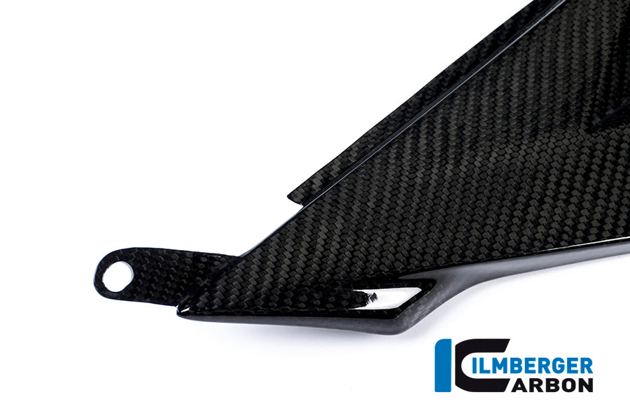 Ilmberger Carbon Tank Side Panel, Right Side Carbon for the BMW S 1000 R '14-25 / S 1000 RR '15-18