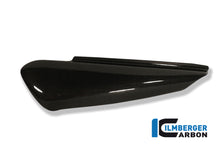 Ilmberger Carbon Side Panel, Left for the Ducati Monster 900 '93-01, Monster 600 '93-02, Monster 620 '02-07 & etc.