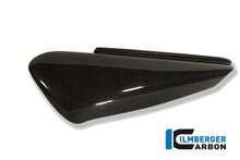 Ilmberger Carbon Side Panel, Left for the Ducati Monster 900 '93-01, Monster 600 '93-02, Monster 620 '02-07 & etc.