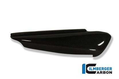 Ilmberger Carbon Side Panel, Right for the Ducati Monster 900 '93-01, Monster 600 '93-02, Monster 620 '02-07 & etc.