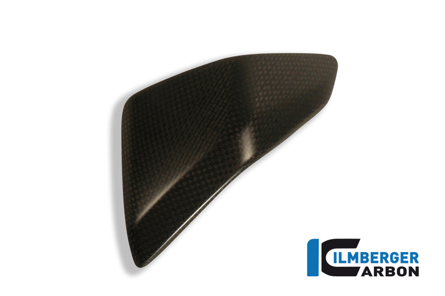 Ilmberger Carbon Frame Cover Inset (Right) Matt for the Ducati 1199 Panigale / 1299 Panigale R '12-14