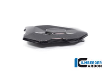 Ilmberger Carbon Passanger Seat Cover for the BMW S 1000 R '21 / M 1000 R '23-24