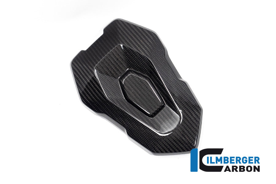 Ilmberger Carbon Passanger Seat Cover for the BMW S 1000 R '21 / M 1000 R '23-24