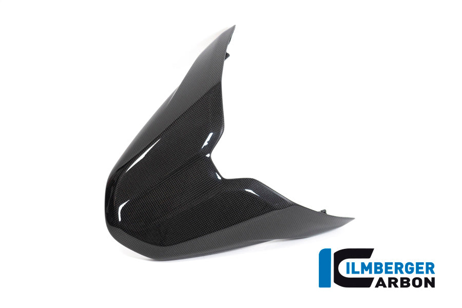 Ilmberger Carbon Passenger Seat Cover for the Ducati Monster 1200S '17