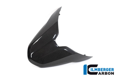 Ilmberger Carbon Passenger Seat Cover for the Ducati Monster 1200S '17