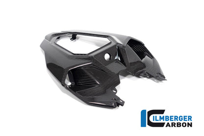 Ilmberger Carbon Single Seat Unit, Middle Part for the BMW S 1000 R '21 / M 1000 R '23-24