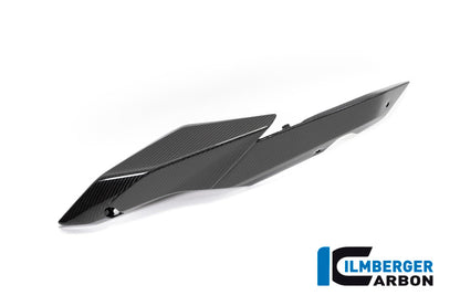 Ilmberger Carbon Seat Unit Panel, Left for the BMW R 1250 R/RS 2019