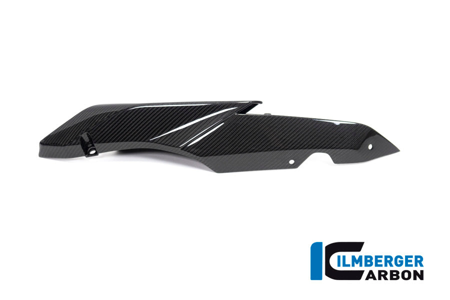 Ilmberger Carbon Seat Unit Panel, Left for the BMW R 1250 R/RS 2019