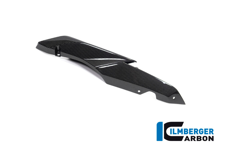 Ilmberger Carbon Seat Unit Panel, Left for the BMW R 1250 R/RS 2019