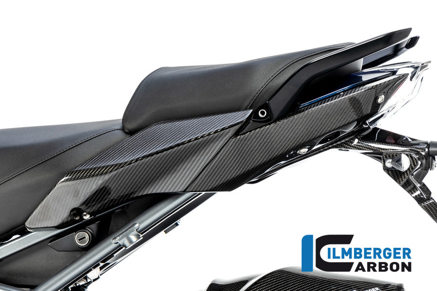 Ilmberger Carbon Seat Unit Panel, Left for the BMW R 1250 R/RS 2019
