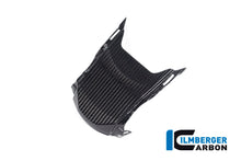 Ilmberger Carbon Upper Rear Fairing for the BMW S 1000 XR '20-24 / M 1000 XR '24