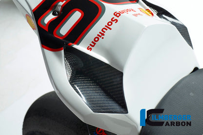 Ilmberger Carbon Race Seat Unit Carbon for the BMW S 1000 RR Stocksport / Racing 2009-2025