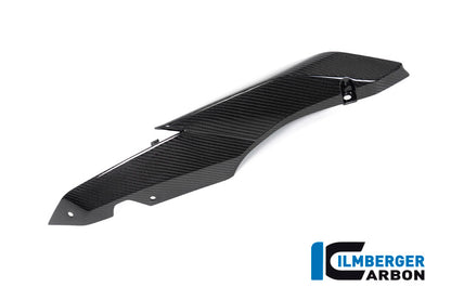 Ilmberger Carbon Seat Unit Panel, Right for the BMW R 1250 R/RS 2019