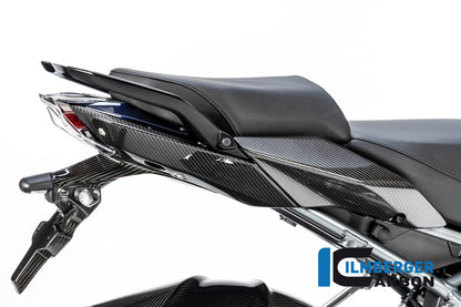 Ilmberger Carbon Seat Unit Panel, Right for the BMW R 1250 R/RS 2019