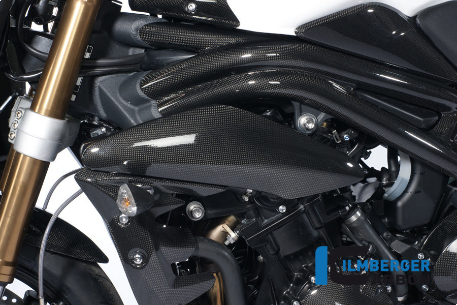 Ilmberger Carbon Side Panel Above Watercooler Left, for the Triumph Speed Triple '11-25