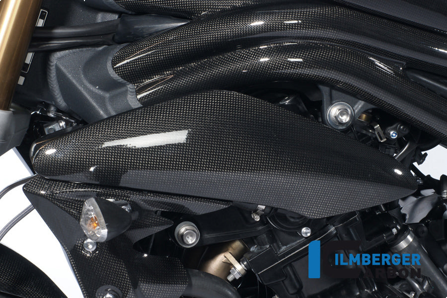 Ilmberger Carbon Side Panel Above Watercooler Left, for the Triumph Speed Triple '11-25