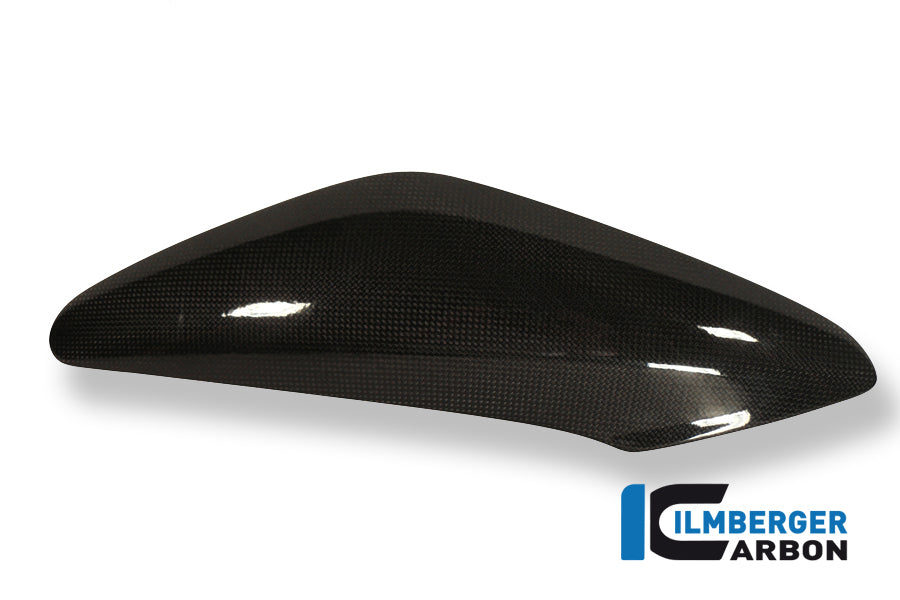 Ilmberger Carbon Side Panel Above Watercooler Left, for the Triumph Speed Triple '11-25