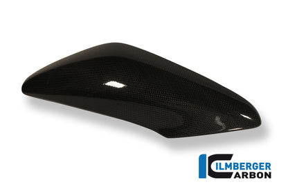 Ilmberger Carbon Side Panel Above Watercooler Left, for the Triumph Speed Triple '11-25
