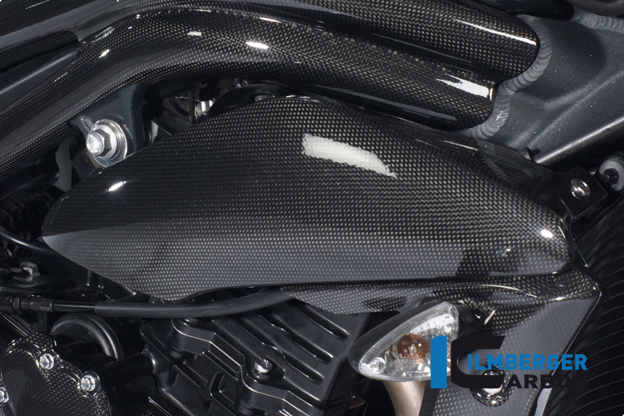 Ilmberger Carbon Side Panel Above Watercooler Right, for the Triumph Speed Triple '11-25