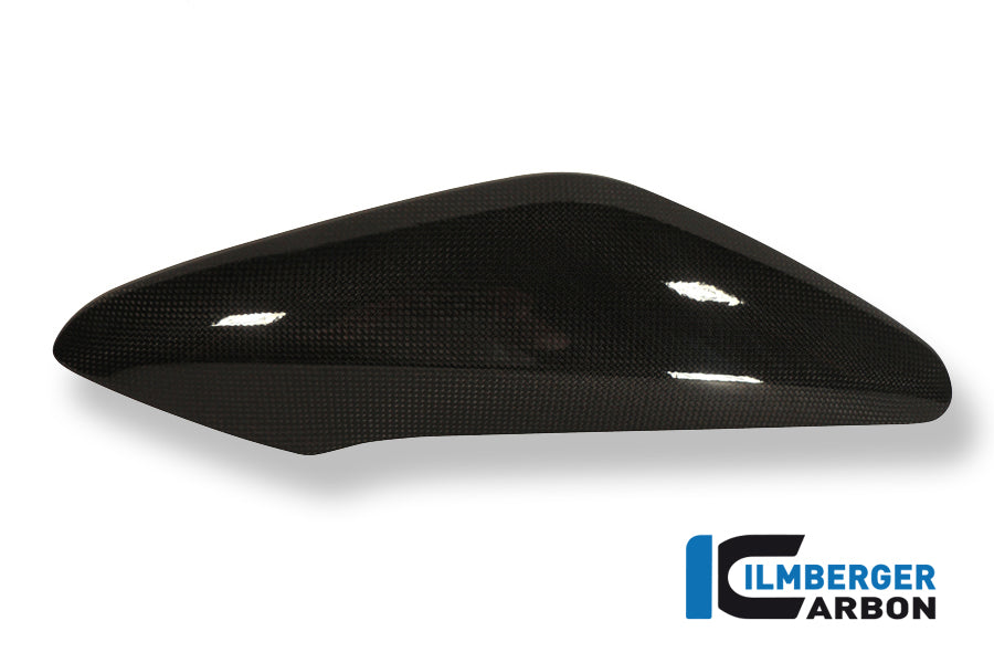 Ilmberger Carbon Side Panel Above Watercooler Right, for the Triumph Speed Triple '11-25