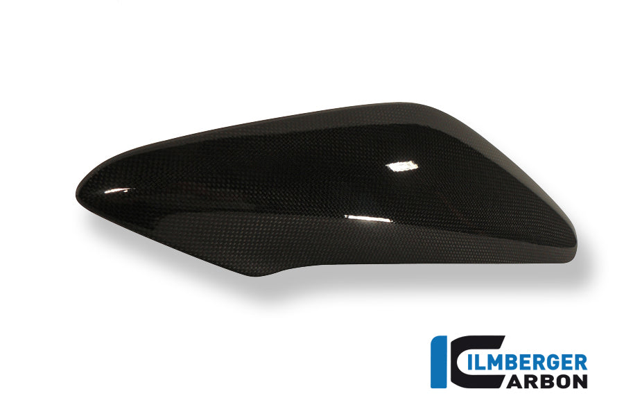 Ilmberger Carbon Side Panel Above Watercooler Right, for the Triumph Speed Triple '11-25