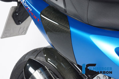 Ilmberger Carbon Crashpad at the Black for the BMW C600 Sport '12-24