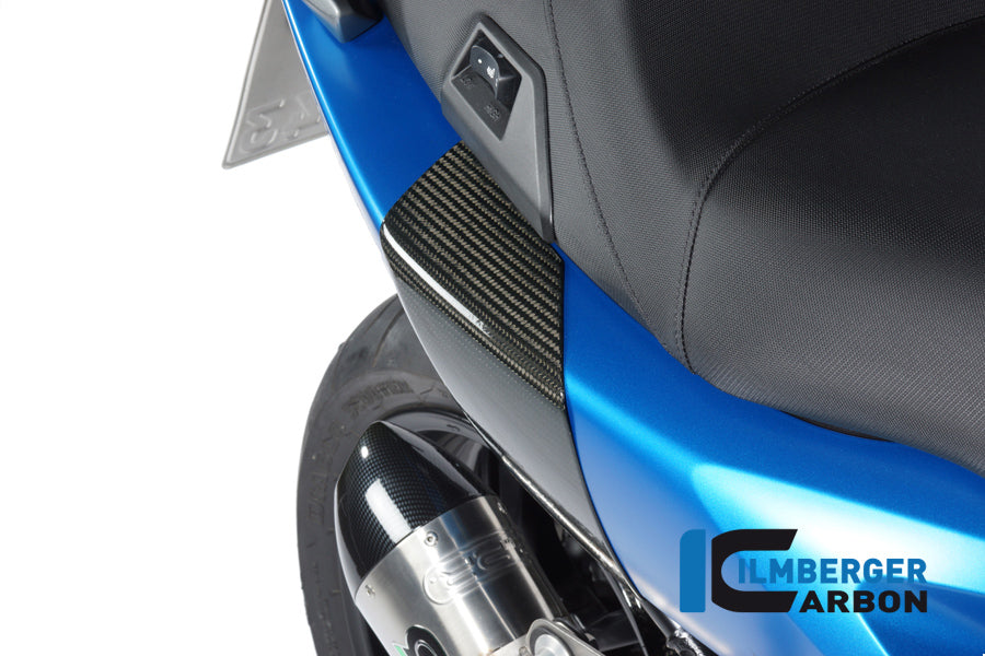 Ilmberger Carbon Crashpad at the Black for the BMW C600 Sport '12-24