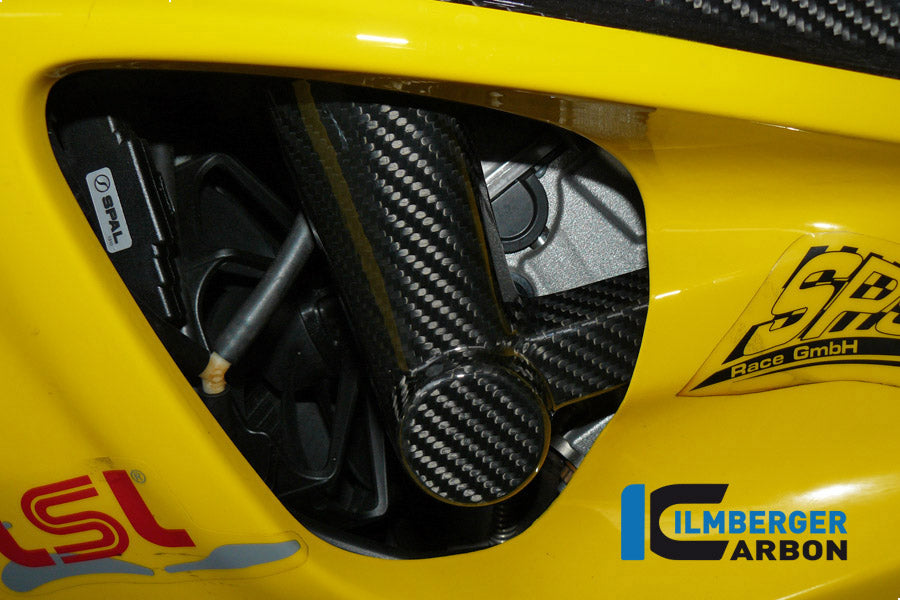 Ilmberger Carbon Crashpade on the frame, Left Carbon for the BMW S 1000 R '14-25 / S 1000 RR '09-25 / HP4 '12