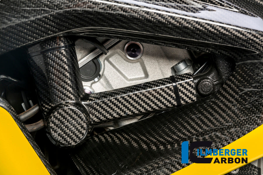 Ilmberger Carbon Crashpad on the Frame, Left Carbon for the BMW S 1000 RR Stocksport / Racing 2009-2025